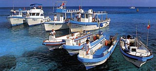 Our Fleet Our Fleet