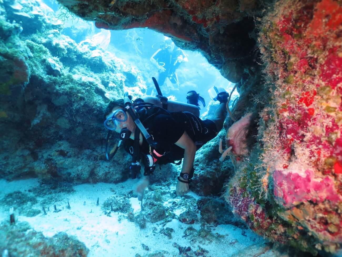 Scuba Diving - Trips and Tours - Dive Paradise Cozumel