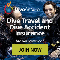 Terms And Conditions Dive Paradise
