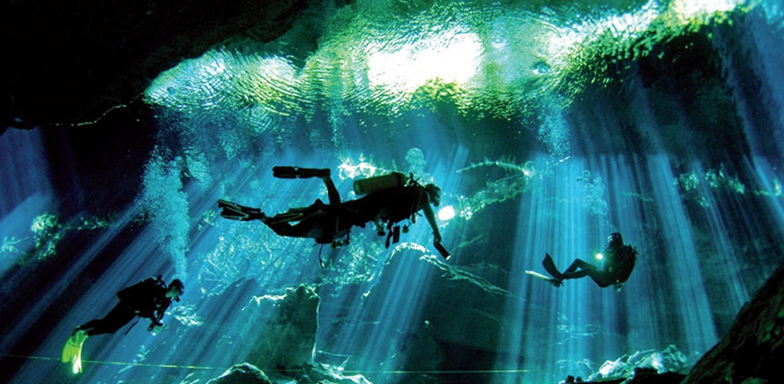 Diving cenotes playa del carmen areas in tulum