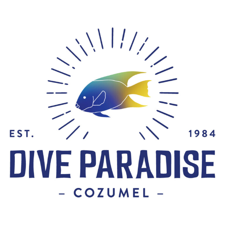 DIVE IN PARADISE intelligence overview